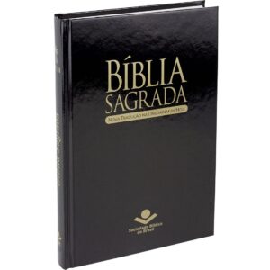 Bíblia Sagrada (Cópia)