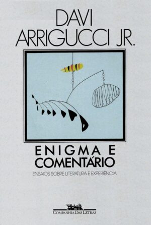 Enigma e Comentário - Davi Arrigucci Jr.
