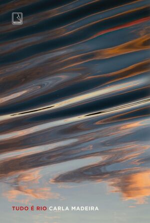 Tudo é Rio - Carla Madeira